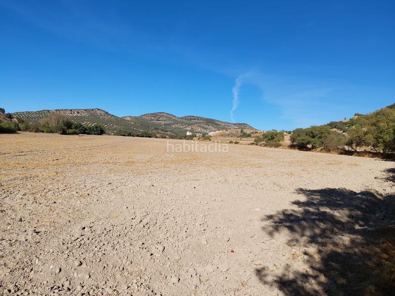 Foto 4a3f398f-6167-41b2-9d45-1bef5f077412. Landgut in Alcalá la Real