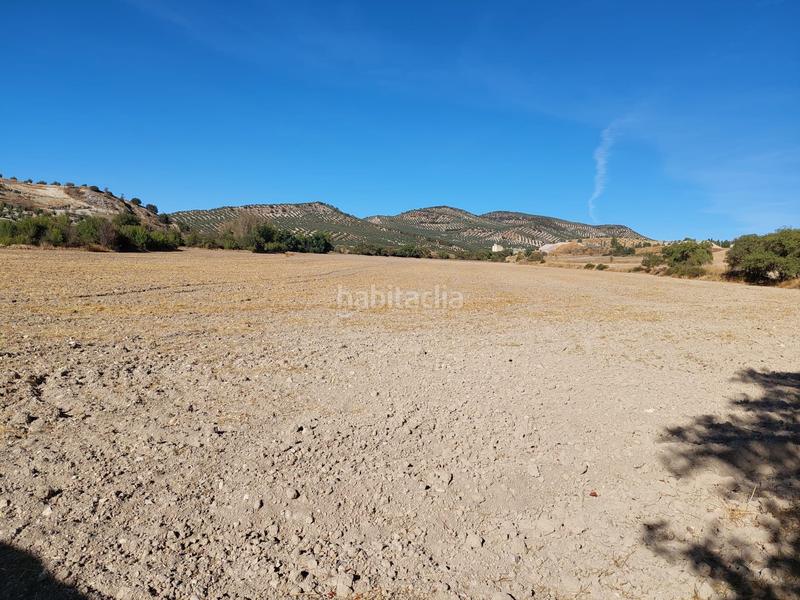 Foto 74eddec7-cee0-45dc-8d3a-f8798db38f6b. Landgut in Alcalá la Real