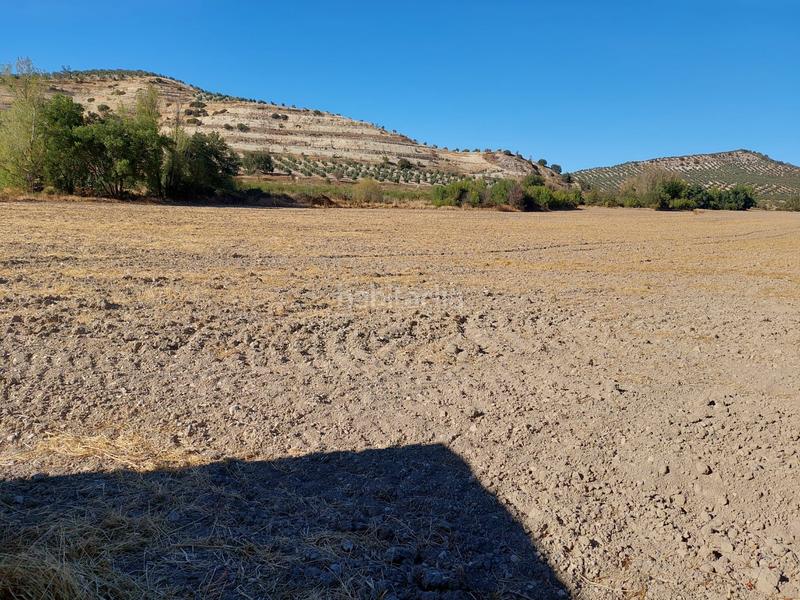 Foto a0f501f2-58f8-40de-8259-561904d3e3e4. Landgut in Alcalá la Real