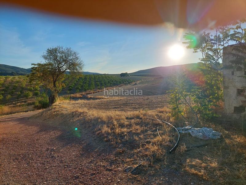 Foto dae4c034-faca-475f-ad16-aa584b9babd3. Landgut in Alcalá la Real