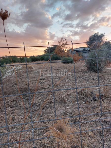 Foto 360abf9b-89f5-498b-b46b-0ca9327d576c. Terreno residencial gran oportunidad en Las Vegas - Campoaras Lucena