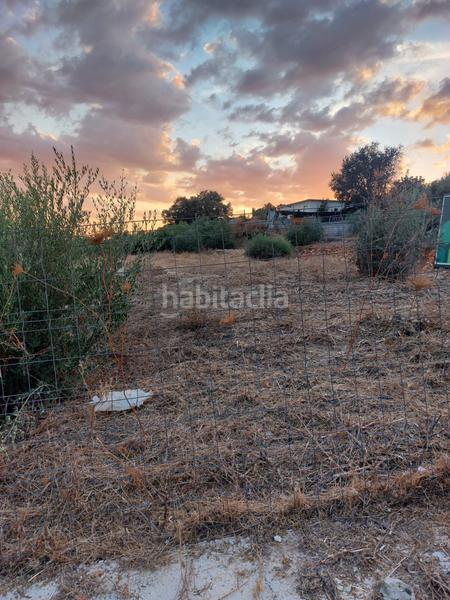 Foto 4e1d8eca-94b2-40dd-a210-59566e6fb45c. Terreno residencial gran oportunidad en Las Vegas - Campoaras Lucena