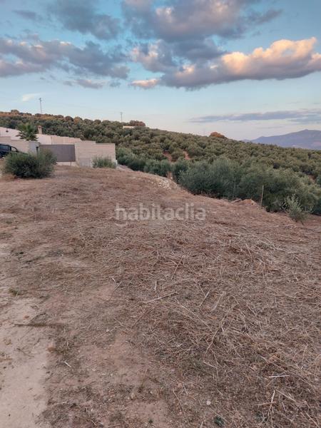 Foto 73f4af58-bc0d-4f3e-b027-32e6f4dee174. Terreno residencial gran oportunidad en Las Vegas - Campoaras Lucena