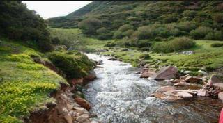 Finca rústica a Área Rual - Valverde - Las Casas. 950  hectáreas de magnifica tierra de labor y dehesa