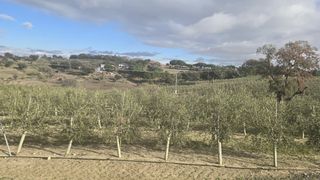 Propriété à Calle camino del palacio 11