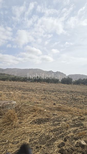 Foto 05e35c18-f1d8-4bd7-820c-3b9aceb60cfb. Landgut in Poleares Lucena