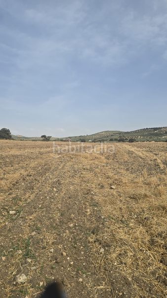 Foto 0ee677ab-67a8-434c-98b7-67e42ce334a7. Landgut in Poleares Lucena