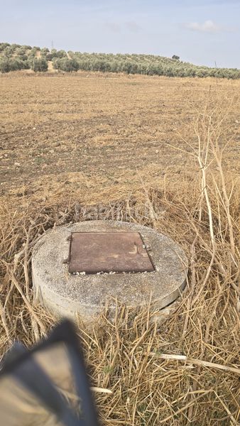 Foto 1d38a7c7-8587-4ac8-98c7-6acc90510141. Landgut in Poleares Lucena