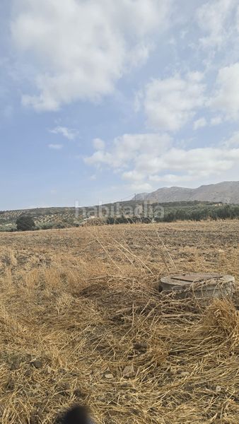 Foto 5b264d24-fe41-46a0-86c5-223933276f2a. Landgut in Poleares Lucena