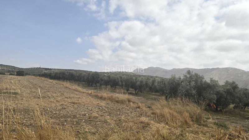 Foto 8d1e5476-328d-4894-a2bb-6bf4e3977a8f. Landgut in Poleares Lucena