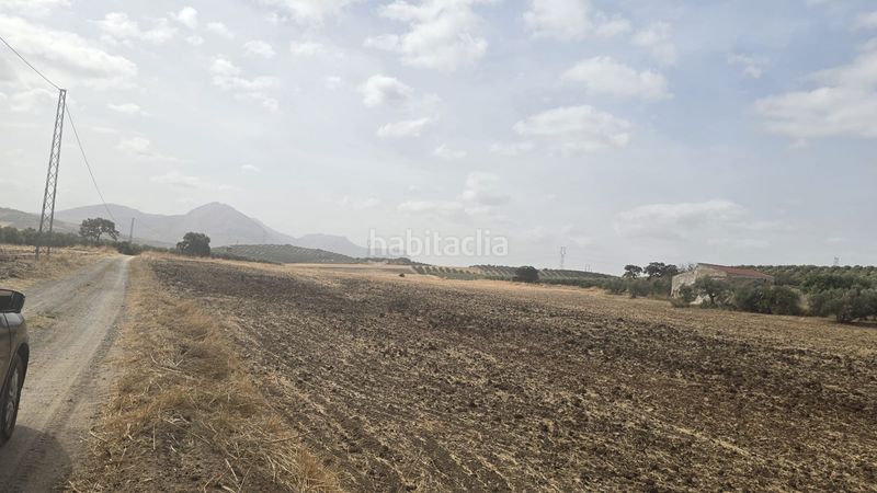 Foto a7c138b4-488c-4221-b1e0-bb634616937e. Landgut in Poleares Lucena