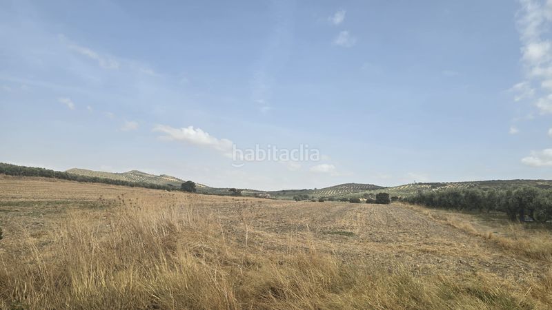 Foto b4f7b700-6a1c-41eb-aa05-a2d1c5e41b47. Landgut in Poleares Lucena