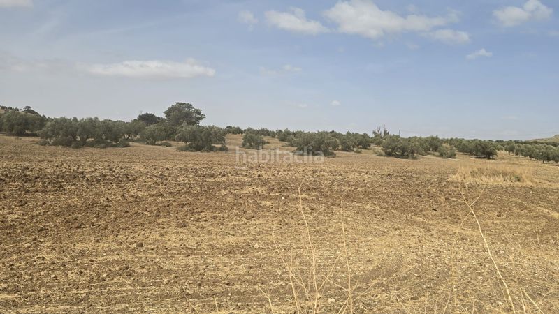 Foto f06c785c-c8ce-4fc9-8452-75152d1d3c8c. Landgut in Poleares Lucena
