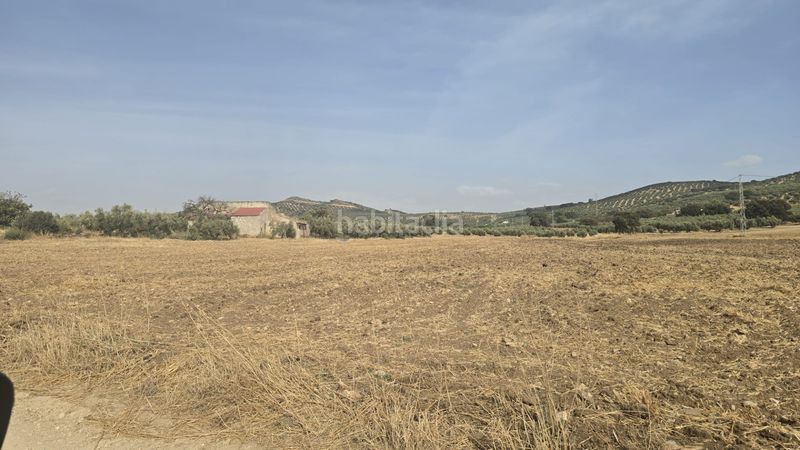 Foto 42a35d8d-d749-42c1-b528-b9b01779cc35. Finca rústica a Poleares Lucena