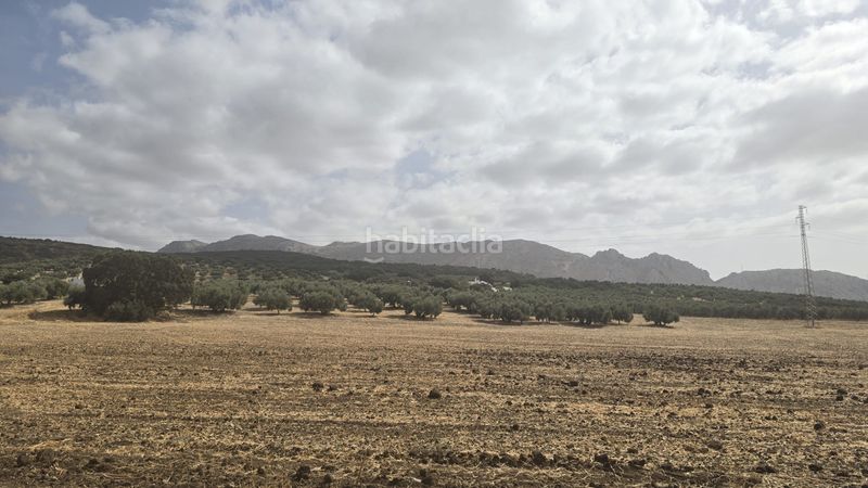 Foto 886db0c8-579b-452a-ba2b-4c463ace3e6d. Finca rústica a Poleares Lucena