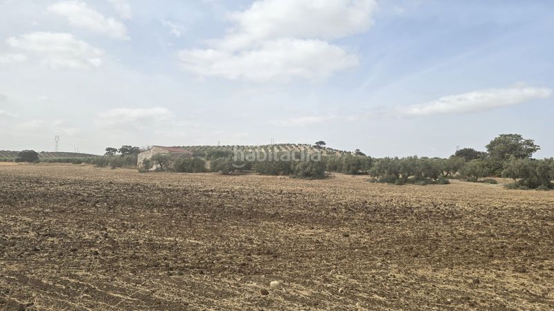 Foto c171c44f-f9a3-4cd1-9f59-1d58de326ce3. Finca rústica a Poleares Lucena