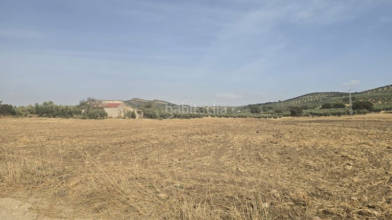Foto facb7d1a-ce47-41c4-8cfe-3262dfdd9bf5. Finca rústica a Poleares Lucena