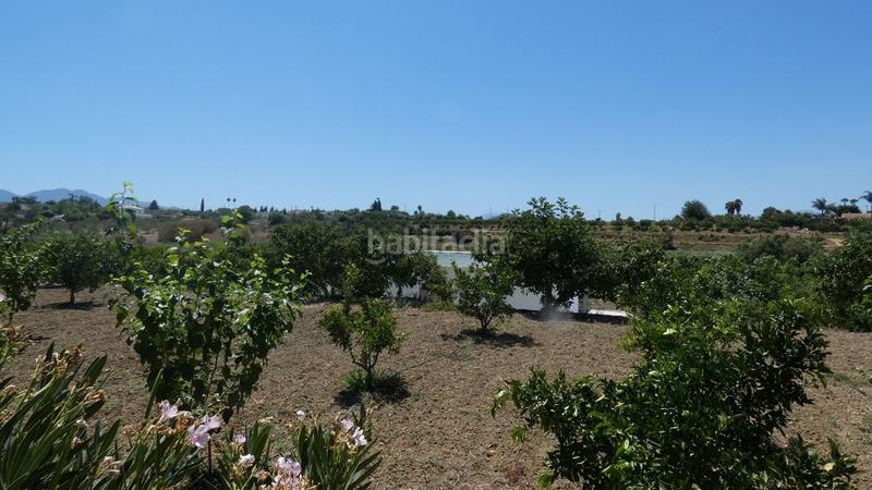 Foto 2609a5e3-80e5-46f7-91dc-9114d62ae860. Masía preciosa casa de campo de una sola planta con gran potencial, piscina privada y vistas impresionantes . ref f en Alhaurín el Grande