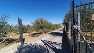 Terreny residencial a Centro. Hermosa parcela de terreno rústico que mide 15.818m, en venta en