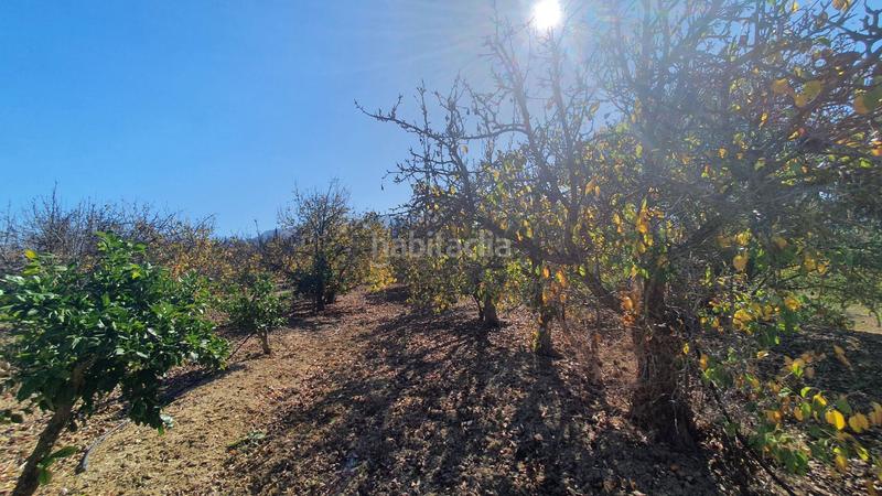 Foto 48fd4e87-4a3a-4a06-9041-eec9a9699b96. Terreny residencial a Centro Alhaurín el Grande