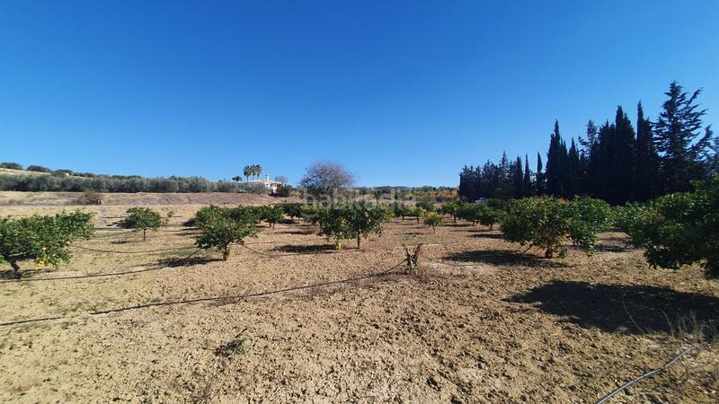 Foto 97e8e421-a173-4b23-a993-d59a8132193a. Terreny residencial a Centro Alhaurín el Grande