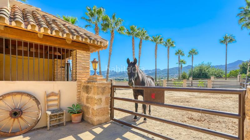 Foto dadd9aa9-7ced-41fa-a8e0-f9ee27cf82e0. Masia amb calefacció piscina a Alquería-Torrealquería Alhaurín de la Torre
