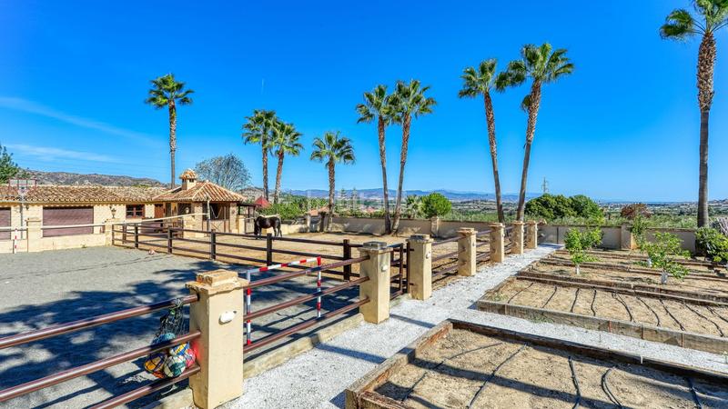 Foto fdb7b0d9-1ea8-4884-b64f-53bad58d0ee6. Masia amb calefacció piscina a Alquería-Torrealquería Alhaurín de la Torre