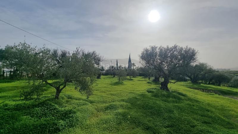 Foto 987b30db-5fbf-4200-9f0c-574019c5bb3c. Terrain résidentiel dans Centro Alhaurín el Grande