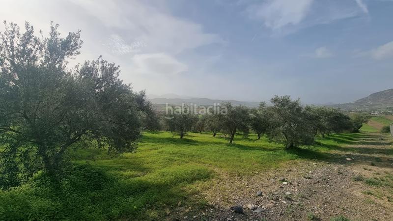 Foto bb11b5ef-666f-4b73-b4f0-3314f9370158. Terrain résidentiel dans Centro Alhaurín el Grande