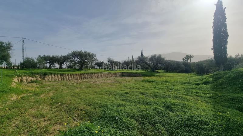 Foto ca4f5589-6778-4122-9d0a-a447ad0ca260. Terrain résidentiel dans Centro Alhaurín el Grande