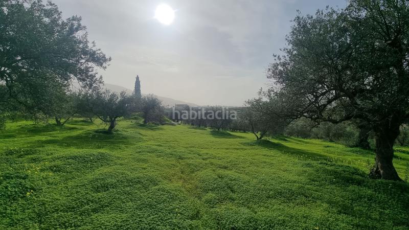 Foto e94d0399-127b-4e56-99b7-c71409345f16. Terrain résidentiel dans Centro Alhaurín el Grande