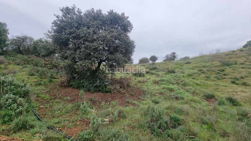 Foto a251b704-92e2-4c2a-808f-7dabbca7447f. Terreny residencial a Coín