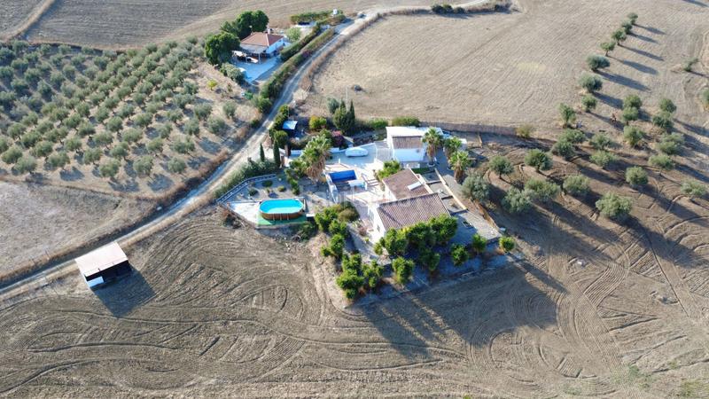 Foto 97897841-d627-43b6-8bce-b95ef0e4d936. Casale con piscina in Coín