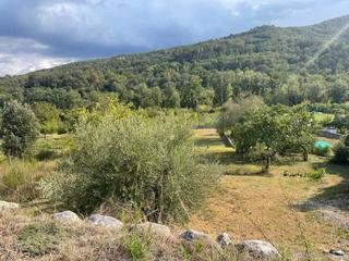 Terreny residencial  Mossen cinto verdeguer. Bonito terreno en venta, ubicado en besalú.
