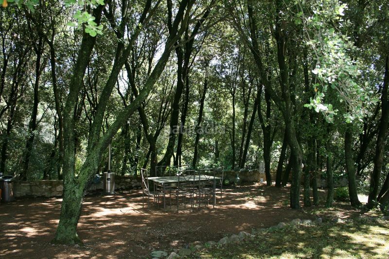 Foto 4f1485d1-ac59-4606-b4dd-86810a80e059. Masia amb calefacció a Sant Ferriol