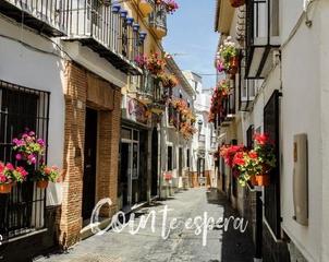 Flat en Con. Piso con caracter andaluz en el casco historico de coin