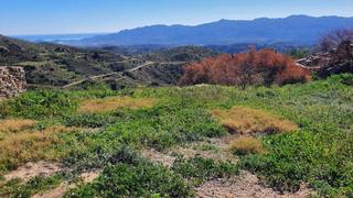 Terrain résidentiel à N/a. 2 ruinas en 2 parcelas adyacentes en venta en la pequeña aldea d