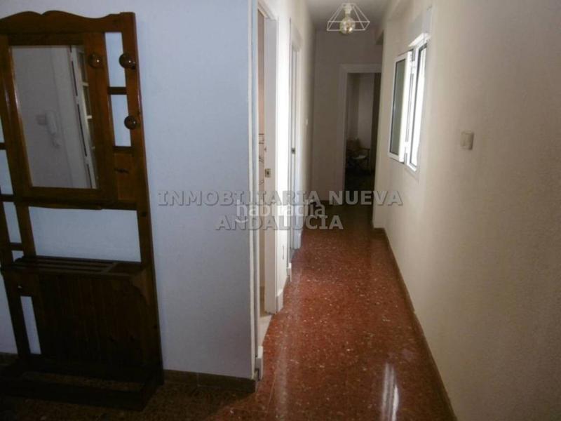Foto 81b00382-9726-4c33-9a83-07688243c788. Location appartement dans Centro Almería