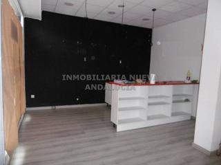 Local Comercial en Nueva Andalucía