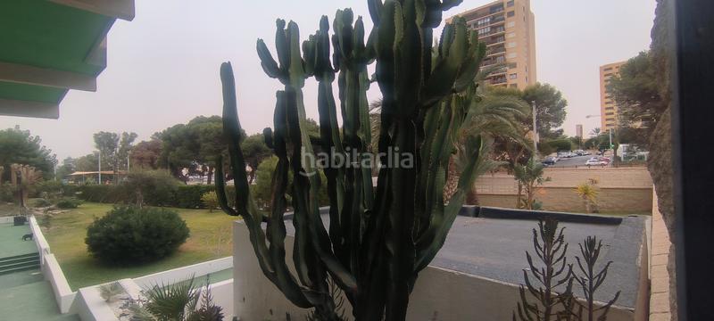 Foto 0455e395-fa75-43c3-b453-8856a0a5269d. Piccolo appartamento in Aguadulce Sur Roquetas de Mar