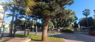 Appartamento in Calle Julio Gómez Relampaguito 4