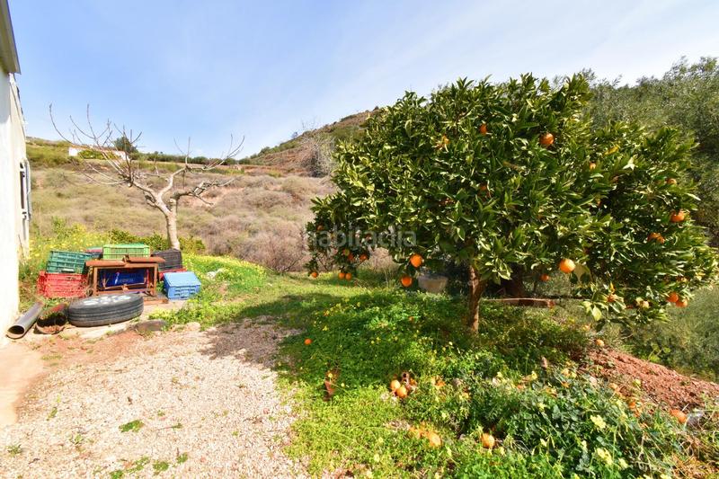 Foto 5bffacb2-0af5-48c5-a6b7-aabd7ba5ac46. Finca rústica terreno con construcción en canjayar en Canjáyar