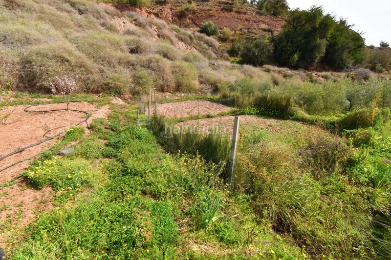 Foto 9b7b9f5a-190c-4733-a067-5abeae5add19. Finca rústica terreno con construcción en canjayar en Canjáyar