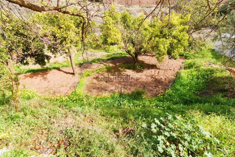 Foto b78d97bd-2cd4-447a-8f00-5d33faef66db. Finca rústica terreno con construcción en canjayar en Canjáyar