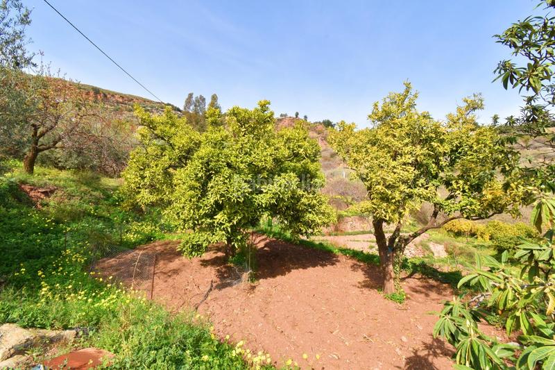 Foto c6eb7fa7-fa65-4e54-bc57-93cd80a82448. Finca rústica terreno con construcción en canjayar en Canjáyar