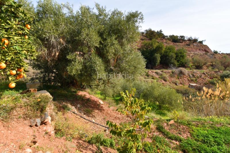Foto d5d32067-5c98-48a2-97a7-c251450a7d22. Finca rústica terreno con construcción en canjayar en Canjáyar