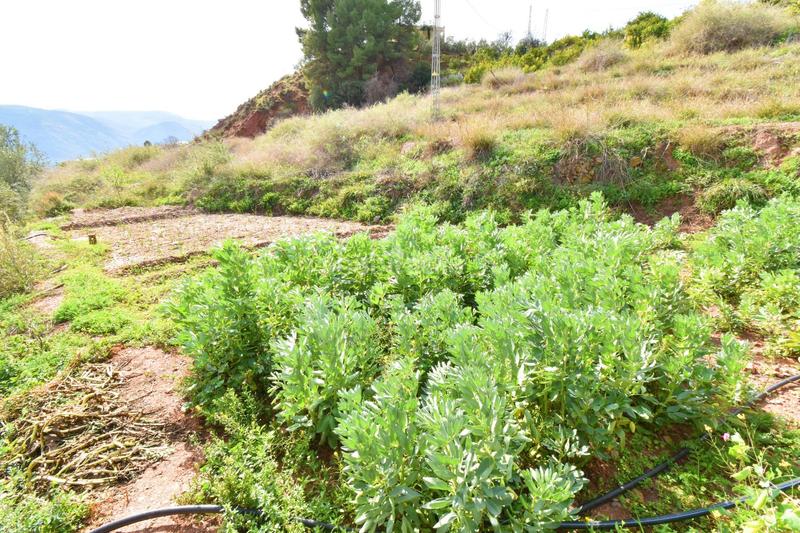 Foto dc8142d5-f9c3-4fab-b0e4-cc47a1b904bc. Finca rústica terreno con construcción en canjayar en Canjáyar