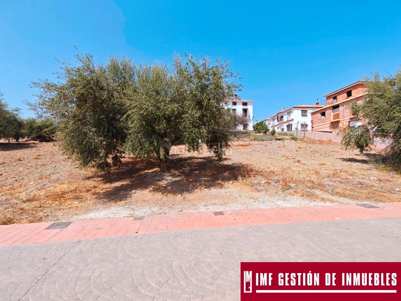 Foto 1d2f9947-ed33-4b43-9a80-0df20352bc4b. Terreny residencial a calle del parque 13 a Viñuela