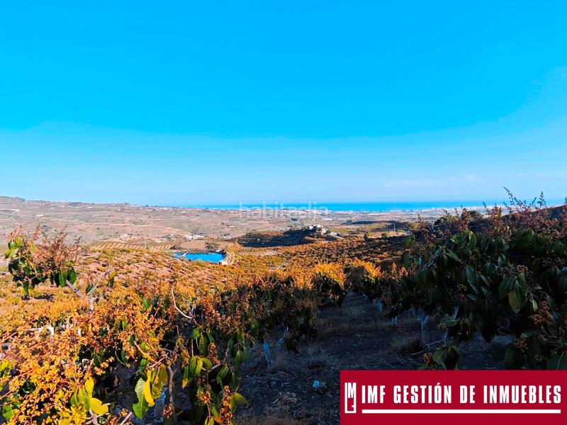 Foto 0fb22df6-ee46-49f1-b046-05981c25b108. Finca rústica a urbanizacion los eucaliptos 24 a Vélez - Málaga