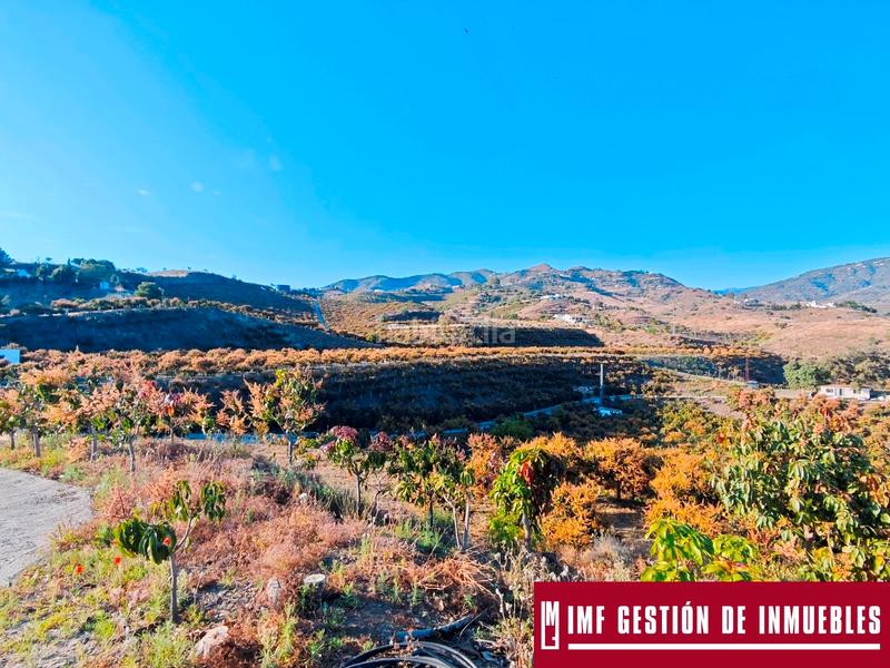 Foto 1584ac20-571f-4561-9b80-bdd368b3eb77. Finca rústica a urbanizacion los eucaliptos 24 a Vélez - Málaga